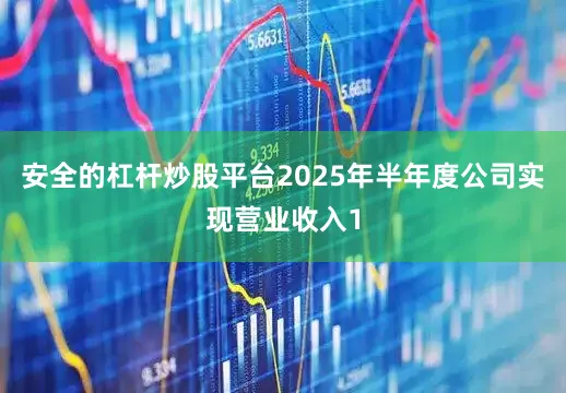 安全的杠杆炒股平台2025年半年度公司实现营业收入1